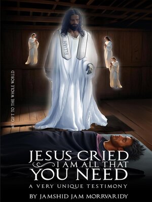 cover image of Jesus Cried